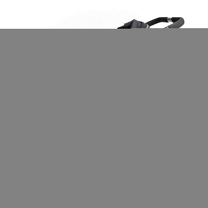 Gaggle by Foundations Roadster Duo Side by Side Double Stroller | Lightweight Compact Double Stroller for Toddlers | Easy to Fold & Maneuver | Amusement Park Approved | Black