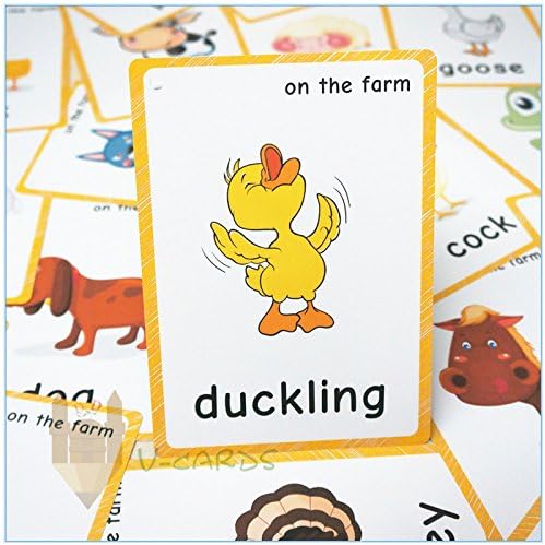 20 pcs Farm Animals Flashcards for Kids | Learning Cards & Montessori Pocket Cards for Pre-K Wall Stickers and Insect Themed Party, Online Classroom | Teacher/Autism Therapists Tools