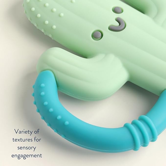 Itzy Ritzy Cactus-Shaped Baby Teether with Handles; Silicone Teether for Babies with Easy-Grab Handles and Textured, Teethable Surfaces - Baby Teething Toy for 3 Months & Up (Cactus)