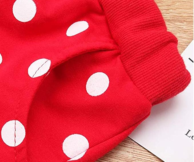 Cute Toddler Baby Girls Clothes Set Long Sleeve T-Shirt and Pants Kids 2pcs Outfits