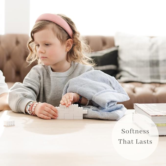 SARANONI Security Blankets for Babies Super Soft Boutique Quality Lush Luxury Baby Blanket (Mini 15" x 20", Storm Cloud)
