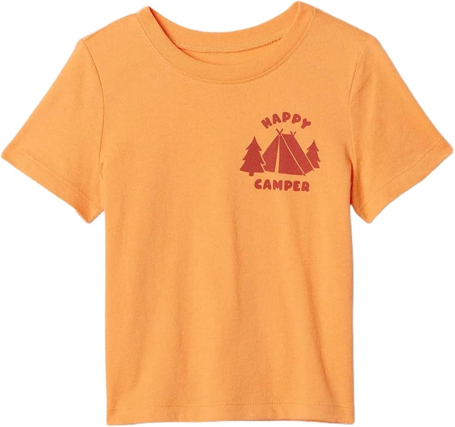 Gap Baby Boys' Short Sleeve Graphic Tee