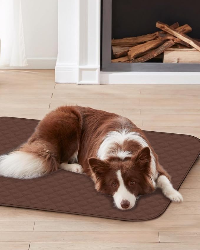 Bed Washable Waterproof 36x72 Inch (2 Pack), Extra Large Washable Pads for Incontinence, Brown Ideal for Elderly, Adults, Kids and Pets