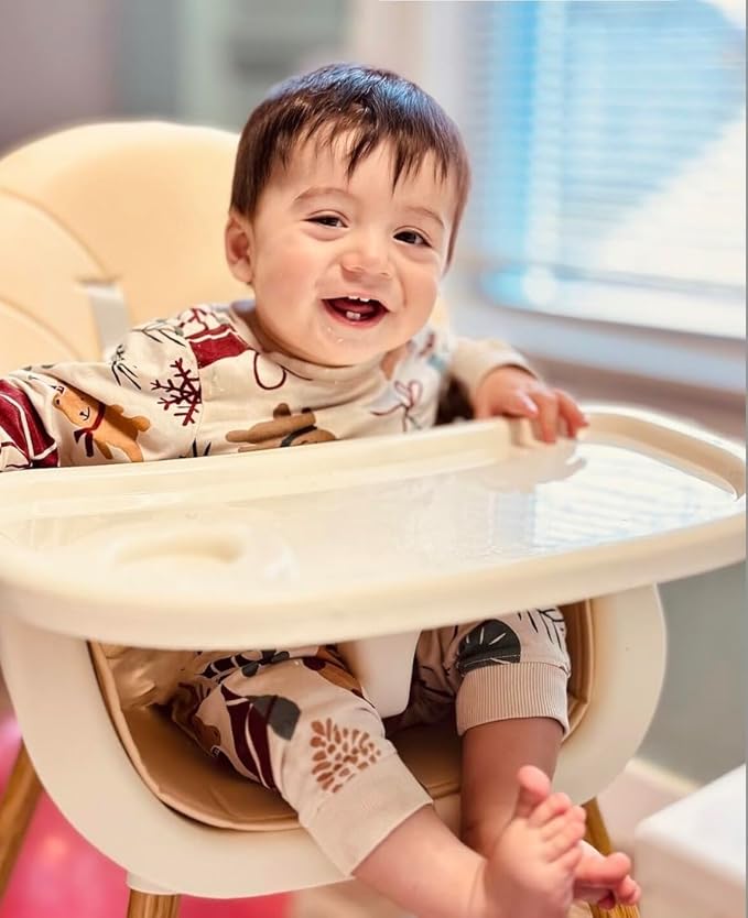 PandaEar 3-in-1 High Chairs for Babies Toddlers, Convertible Infant Highchair with Removable Tray & Safety Harness Adjustable Legs