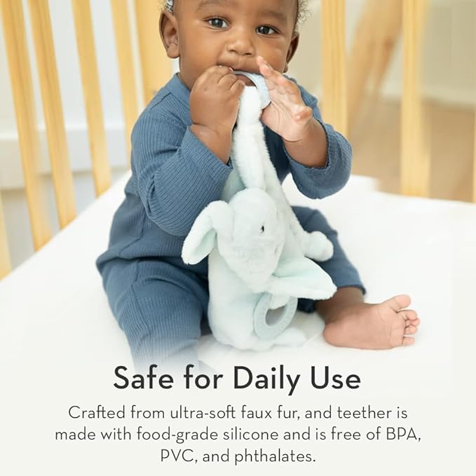 Baby Teether & Plush Lovey by Bella Tunno, Silicone Teether with Animal Snuggle Toy & Sensory Rattle, Teething Relief for Babies 0-6 Months, 6-12 Months, Pig