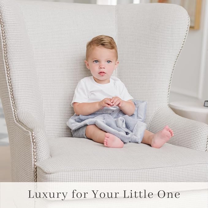 SARANONI Security Blankets for Babies Super Soft Boutique Quality Lush Luxury Baby Blanket (Mini 15" x 20", Storm Cloud)