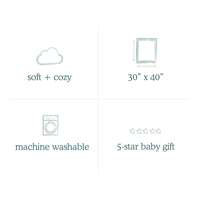 aden + anais Plush Blanket - Soft Minky Baby Blanket for Infants, Toddlers, Kids, for Crib, Stroller, Travel, Storm Grey