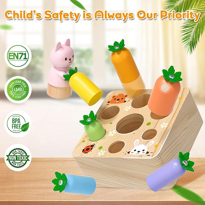Montessori Toys for Baby 6-12 Months, Wooden Toy for 1 Year Old Boys and Girls, Magnetic Carrot Game for Toddlers, Shape Sorting Matching Puzzle, Educational Birthday (Bouncing Carrot)