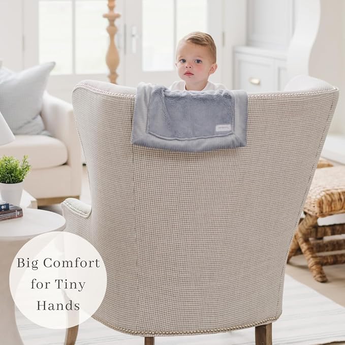 SARANONI Security Blankets for Babies Super Soft Boutique Quality Lush Luxury Baby Blanket (Mini 15" x 20", Storm Cloud)