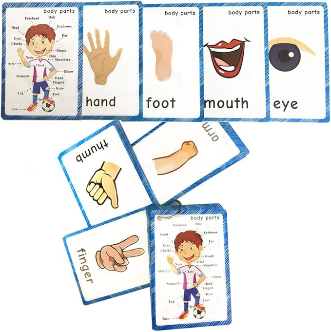 SANTSUN Set of Body Parts Kid Flashcards - Educational Learning Picture & Word Card Flashcards Body Parts-The Flash Hole-Punched So You Can Sort and Organize The Cards Easily