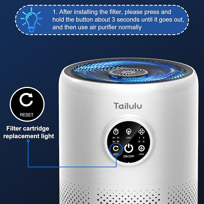 Tailulu 2 Pack D10 Replacement Filter, Air Purifier Filter for Tailulu D10 Air Purifier, 3-in-1 H13 Grade True Replacement Filte with Extra 6 Pieces Aroma Pads