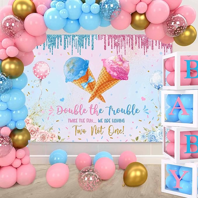 MEHOFOND 7x5ft Ice Cream Twins Baby Shower Banner Decroations, Double The Trouble Twice The Fun We are Having Two Not One Backdrop, Blue Pink Gender Reveal Party Decor Floral Gender Reveal Supplies