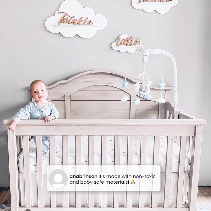 Delta Children Simmons Kids Asher 6-in-1 Convertible Crib with Toddler Rail, Rustic Grey