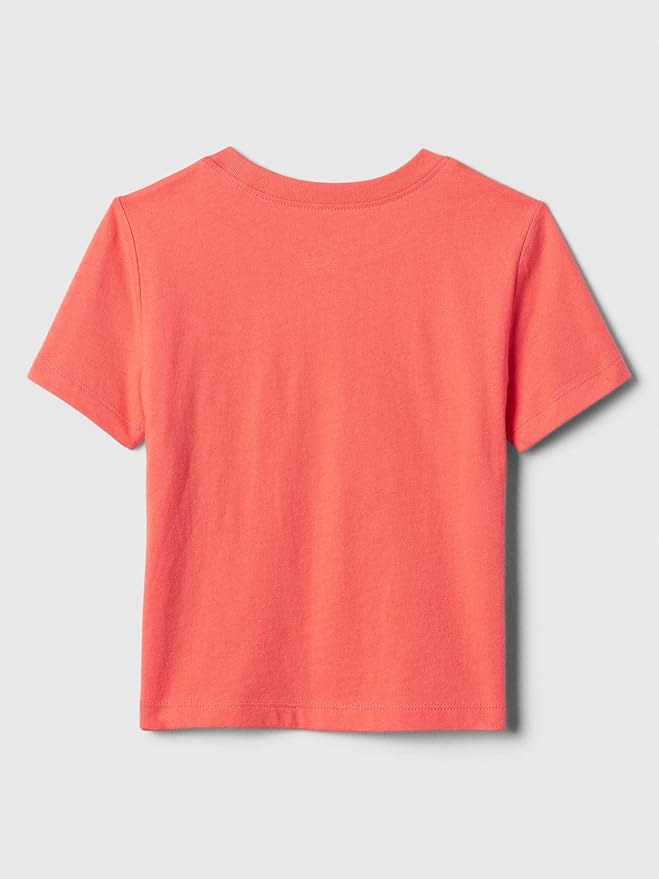 Gap Baby Boys' Short Sleeve Graphic Tee