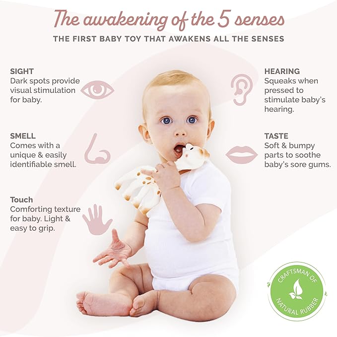 Sophie la girafe, Fresh Touch | Handcrafted for 60 Years in France | Natural Rubber | Designed for Teething Babies | Awaken All 5 Senses | Easy to Clean