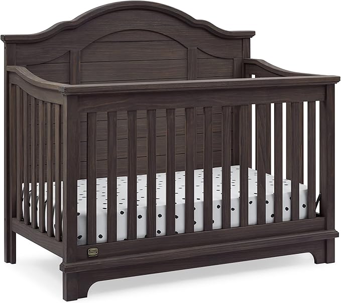 Delta Children Simmons Kids Asher 6-in-1 Convertible Crib with Toddler Rail, Rustic Grey