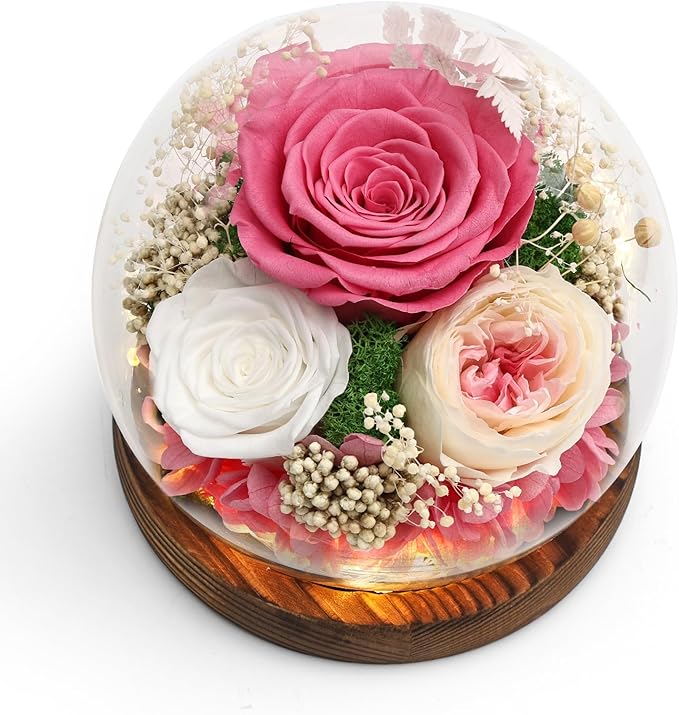 Lujechii Forever Flowers,Flowers for Delivery Prime.Birthday Gifts for Women,Moms, Lovers, Friends, Anniversaries, Preserved Flowers Unique Flower Gifts, Graduation Flower Bouquets (Pink Roses)