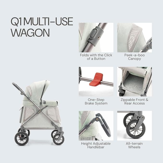 Familidoo Q1 Multi-Use Kids Wagon Stroller – Foldable, Lightweight & All-Terrain for Kids & Pets – 5-Point Safety Harness, Rain Cover & Compact Travel Design – Supports Up to 132 lbs (Sage Green)