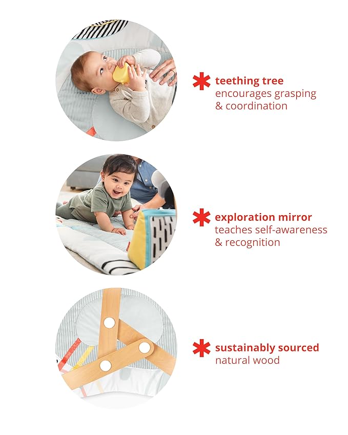 Skip Hop Baby Play Gym Montessori Inspired, Infant Playmat, Discoverosity