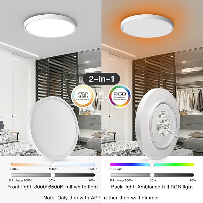 TALOYA Compatible with Alexa Flush Mount Ceiling Light, 12 inch RGB Ambient Light, Day Light 3000K~6500K Adjustable by App, equivs to 200W Traditional lamp for Living Room, Bedroom, 2-Pack