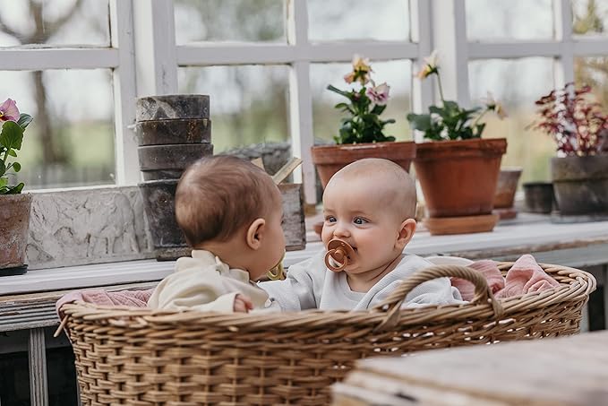 BIBS Pacifiers 6-18 Months | Colour Collection 2-Pack | BPA-Free Symmetrical Natural Rubber Nipple | Made in Denmark | Island Sea/Forest Lake Color Pacifier