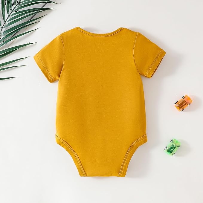 DEFAHN 2PCS Visocse from Bamboo Baby Rompers Unisex Onsies Solid Short Sleeve Baby Bodysuit 0-24 Months