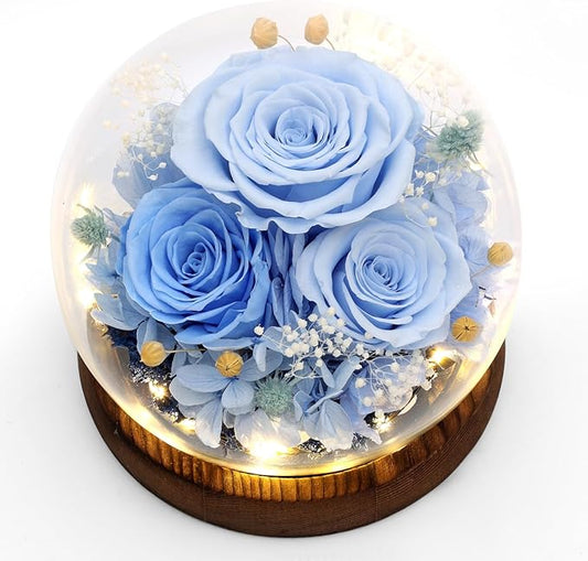 Lujechii Forever Flowers,Flowers for Delivery Prime.Birthday Gifts for Women,Moms, Lovers, Friends, Anniversaries, Preserved Flowers Unique Flower Gifts, Graduation Flower Bouquets (Blue)