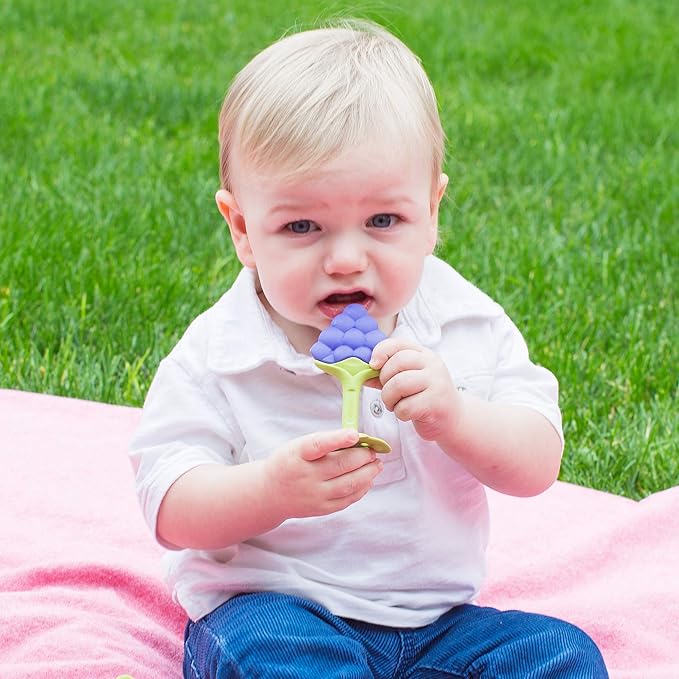 Innobaby Original Teethin Smart EZ Grip Fruit Teether and Sensory Toy for Babies and Toddlers in Grape. BPA Free Teether