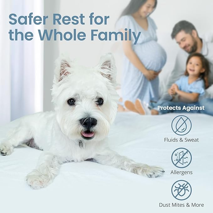 SafeRest Zippered Mattress Protector - Premium 9-12 Inch Waterproof Mattress Cover for Bed - Breathable, Noiseless Washable Mattress Encasement - Queen