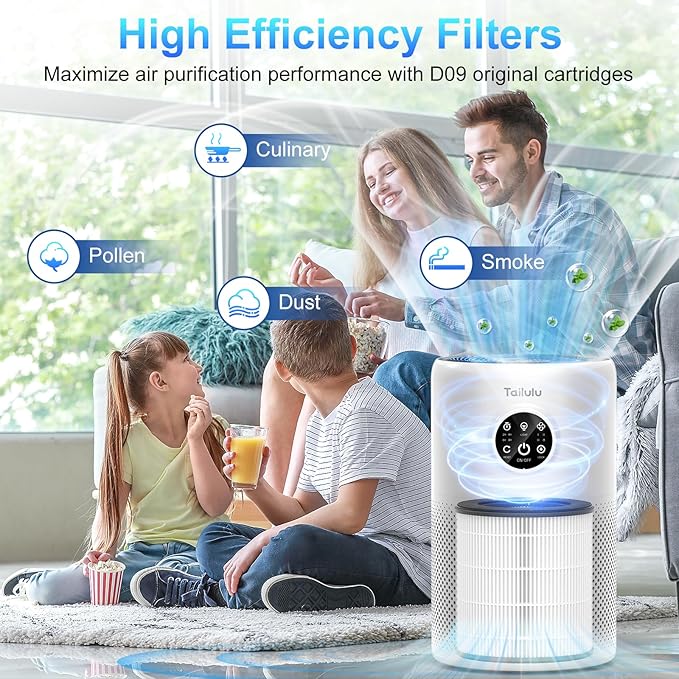 Tailulu 2 Pack D10 Replacement Filter, Air Purifier Filter for Tailulu D10 Air Purifier, 3-in-1 H13 Grade True Replacement Filte with Extra 6 Pieces Aroma Pads