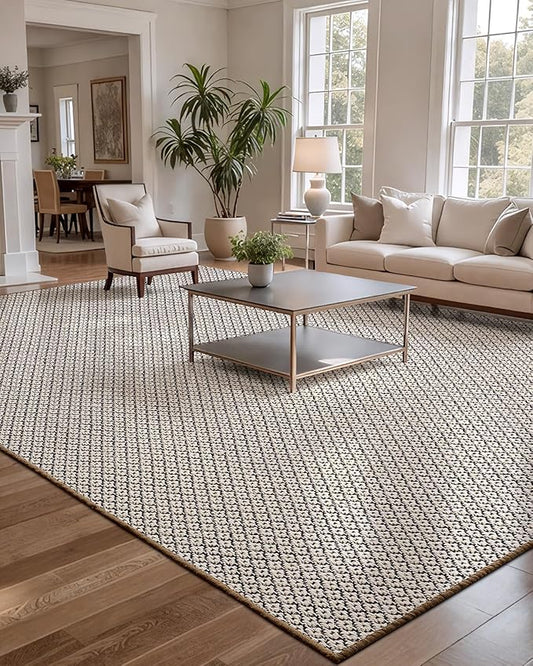 LUMI Sisal Area Rug 4x6 for Living Room, Natural Handwoven Rugs Non Slip, Farmhouse Braided Carpets No Shedding for High Traffic, Dining Room, Indoor, Outdoor, Patio