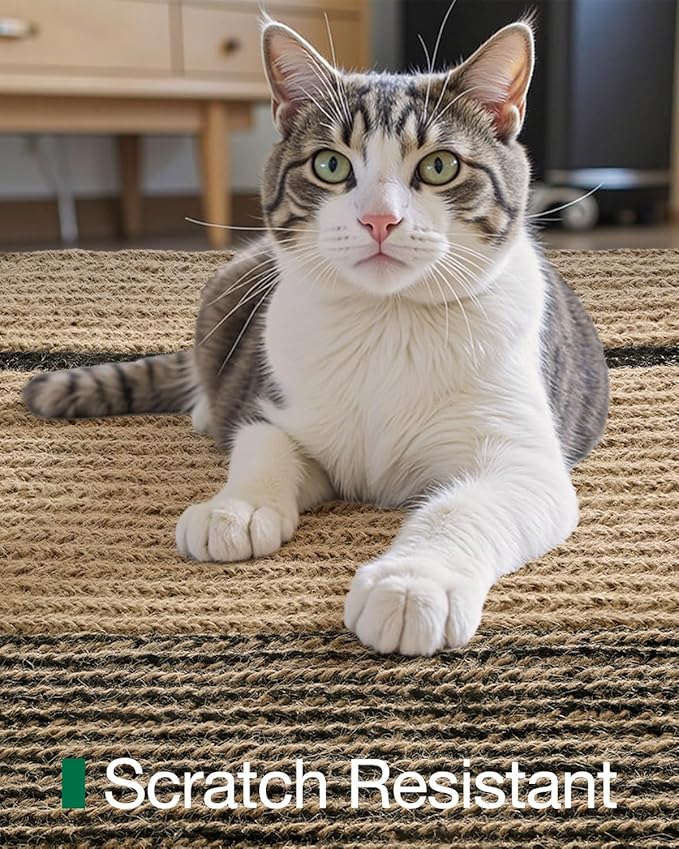 LUMI Jute Area Rug 4x6 for Living Room, Natural Handwoven Rugs Non Slip, Farmhouse Braided Carpets No Shedding for High Traffic, Dining Room, Indoor, Outdoor, Patio