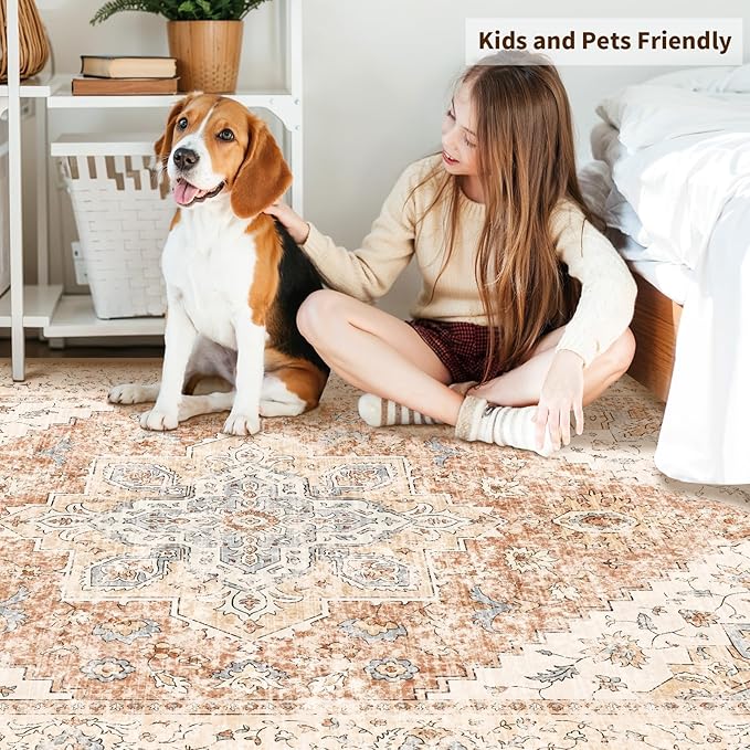 Ciicool 4x6 Rug, Washable Area Rug Boho Rugs for Living Room Non-Slip Indoor Rugs Large Low-Pile Mat Floor Carpet Vintage Rug for Bedroom Dinning Office Foyer Decor