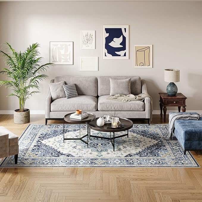 Dripex 9x12 Area Rugs - Stain Resistant Washable Rug Distressed Rugs for Living Room Dining Room Bedroom Anti-Slip Low-Pile and Soft Accent Rug Farmhouse Office Home Decor, Pet & Child Friendly