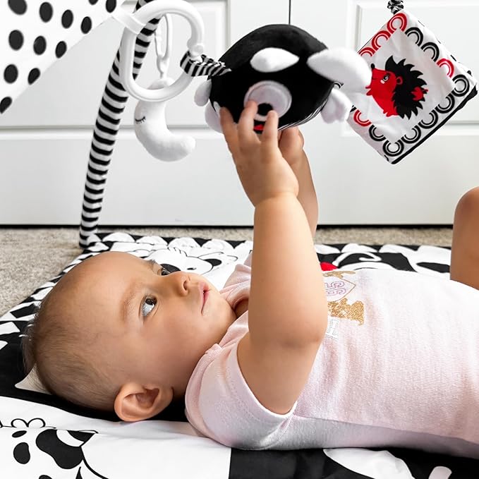 QUOKKA Padded Baby Mat for Floor Tummy Time - Super Soft Black&White Play Mat for Kids Toddlers & Infants - 6 Toys | Thick Pad | Machine Washable | Black White Colors for Vision Development