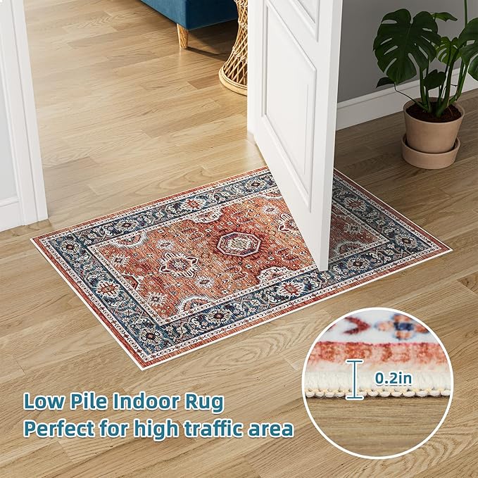 Dripex Vintage Washable Area Rug - 2x4 Indoor Door Mat Oriental Medallion Accent Throw Rug Distressed Foldable Non-Slip Low-Pile Bathroom Kitchen Rug for Entryway Laundry Room Living Room Bedroom