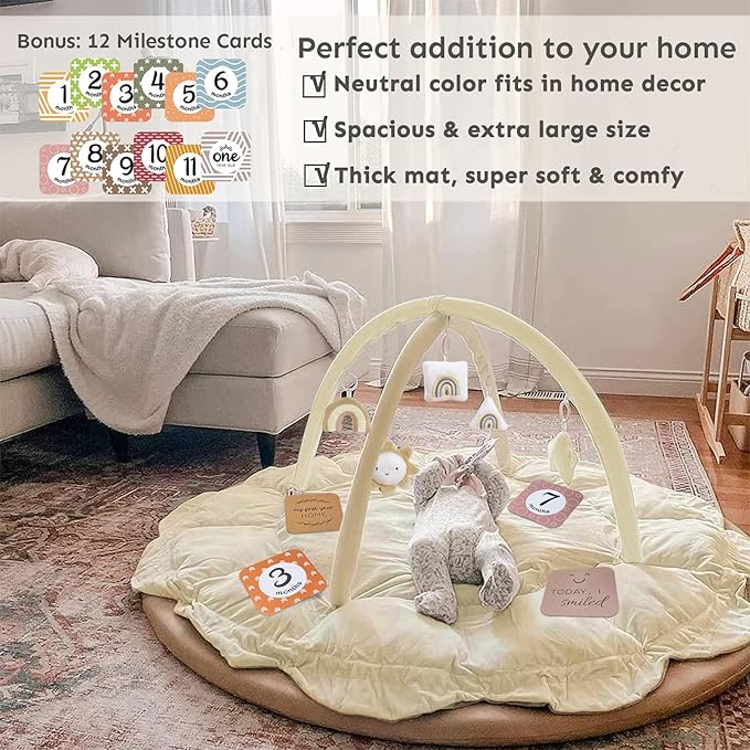 5-in-1 Thick & Plush Baby Play Gym, Baby Play Mats for Floor, Tummy Time Mat with 6 Toys, Cat and Dog Bed, Convertible Stage-Based Developmental from Babies to Toddler, Ball Pit, Pet Cushion, Cloudico