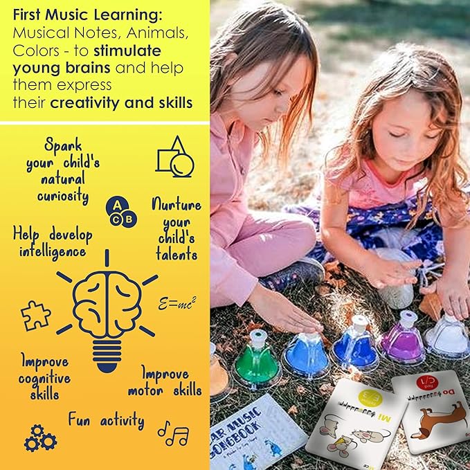 MINIARTIS Musical Flash Cards for Kids | Learning Notes Reading | Educational Color Coded Music Note Theory Flashcards for Beginning Students | Large Size Cards
