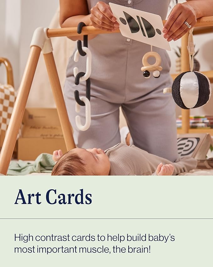Lalo Art Cards - Soy-Based Ink, High Contrast Farm Animal Cards for Baby, Set of 9