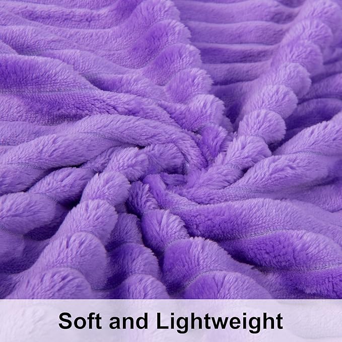 NTBAY Plush Flannel Twin Bed Blanket, 60X80 Inches Soft and Warm Lightweight Bed Blanket with Striped Texture Bed Blanket for Couch Sofa Bed All Seasons, 60"x80", Purple