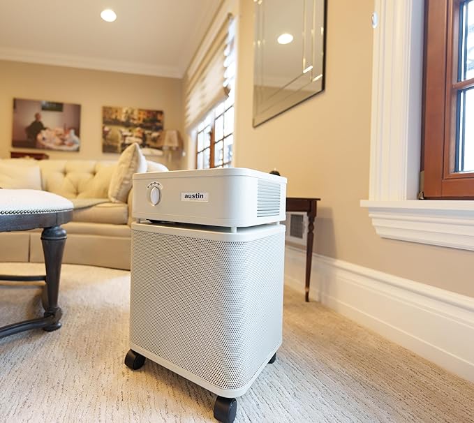 Austin Air HealthMate Plus Air Purifier - Advanced 4- Stage Filtration Air Purifiers For Home with Activated Carbon & Zeolite - Ideal as Air Purifiers for Bedroom or any Large room, Model B450