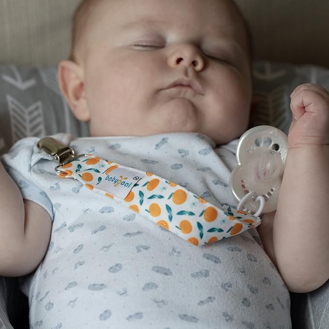 Babygoal Floral Pacifier Clips, 6 Pack Binky Paci Holder Clips and Leash for Boys and Girls Fits for Most Pacifier, Binkie Styles & Baby Teethers & Toys and Gift 6PS14