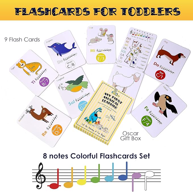 MINIARTIS Musical Flash Cards for Kids | Learning Notes Reading | Educational Color Coded Music Note Theory Flashcards for Beginning Students | Large Size Cards