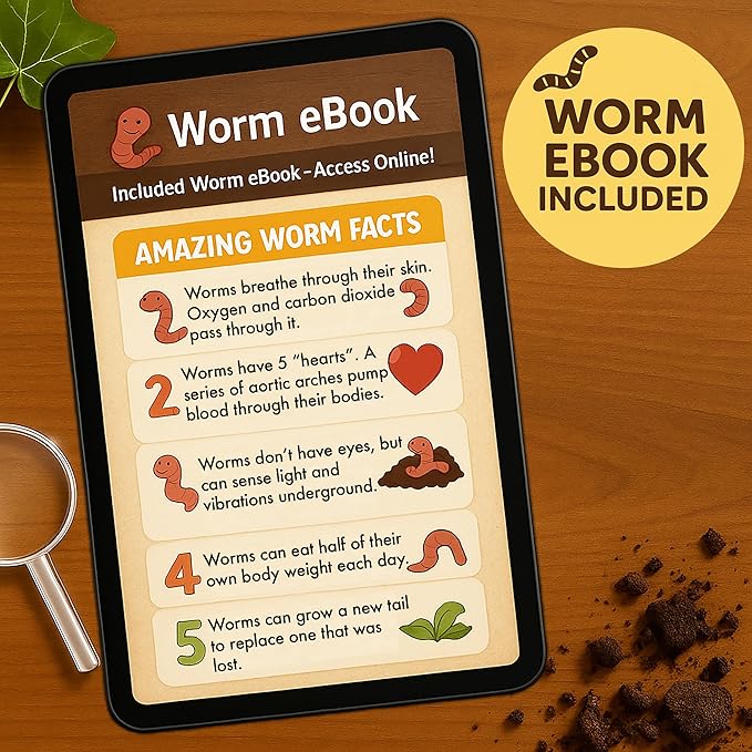 Worm Habitat Kit - Transparent Ecosystem Learning Container for Worm Observation and Soil Layer Studies - Composting Science Projects and Lab Use - Intended for Ages 15 & Older