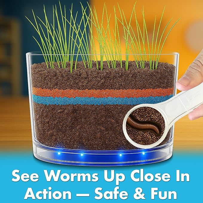 Worm Habitat Kit - Transparent Ecosystem Learning Container for Worm Observation and Soil Layer Studies - Composting Science Projects and Lab Use - Intended for Ages 15 & Older