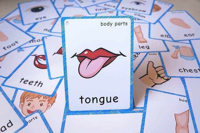 SANTSUN Set of Body Parts Kid Flashcards - Educational Learning Picture & Word Card Flashcards Body Parts-The Flash Hole-Punched So You Can Sort and Organize The Cards Easily