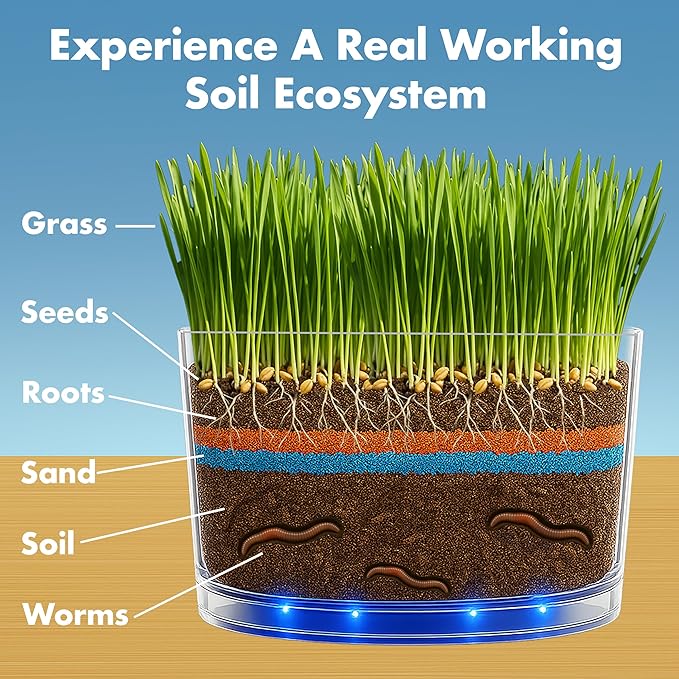 Worm Habitat Kit - Transparent Ecosystem Learning Container for Worm Observation and Soil Layer Studies - Composting Science Projects and Lab Use - Intended for Ages 15 & Older