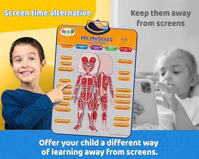 Bilingual Human Body Model for Kids – Interactive Human Anatomy for Kids with Games & Quizzes – Educational Posters for Learning Body Parts, Bones & Organs. English and Spanish for Kids.