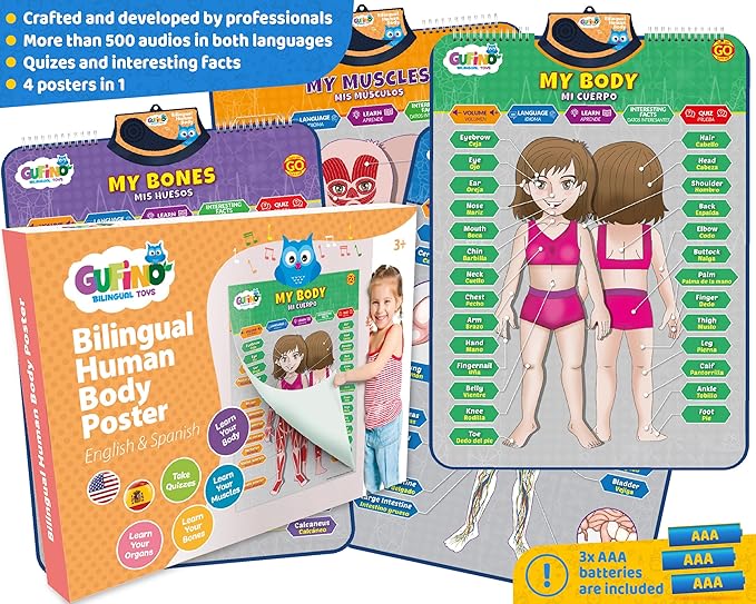 Bilingual Human Body Model for Kids – Interactive Human Anatomy for Kids with Games & Quizzes – Educational Posters for Learning Body Parts, Bones & Organs. English and Spanish for Kids.
