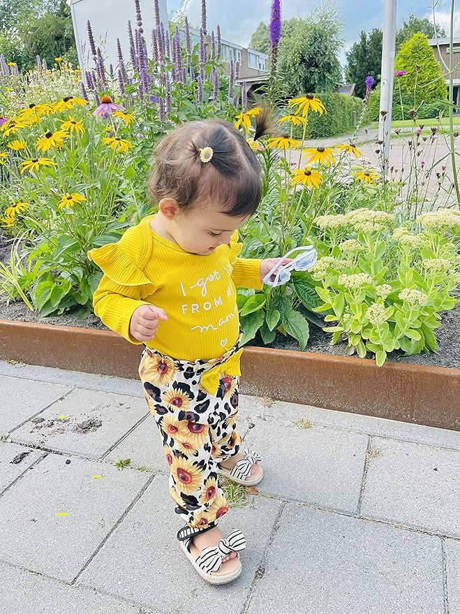 DISAUR Baby Girls Clothes Newborn Infant Baby Girls Outfit Long Sleeve Ruffle Romper Floral Pants Headband Sets 0-18 Months